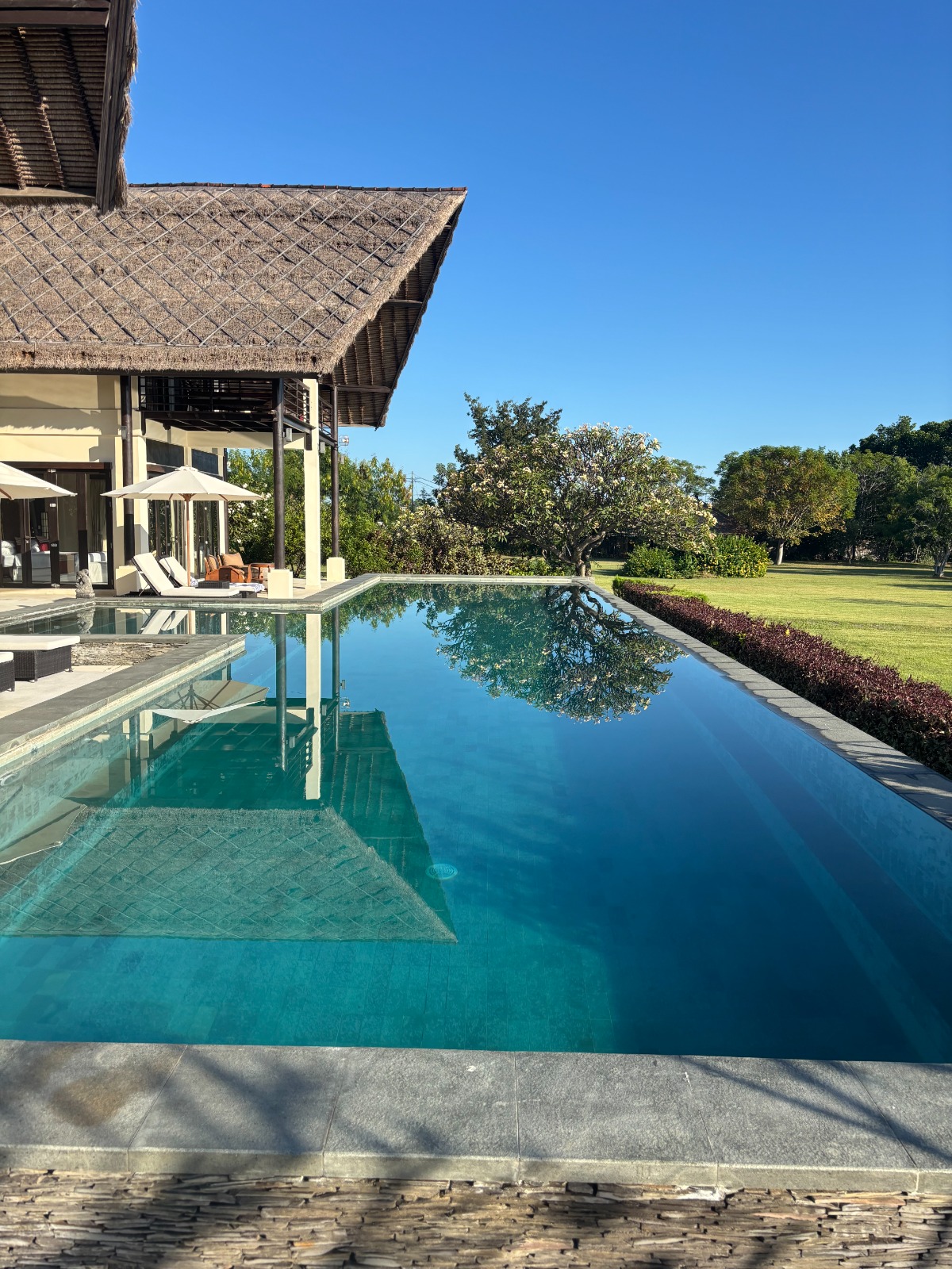 The Swimming Pool